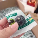 Beauty Fruit Detox Plum - Made in Japan - Image 2